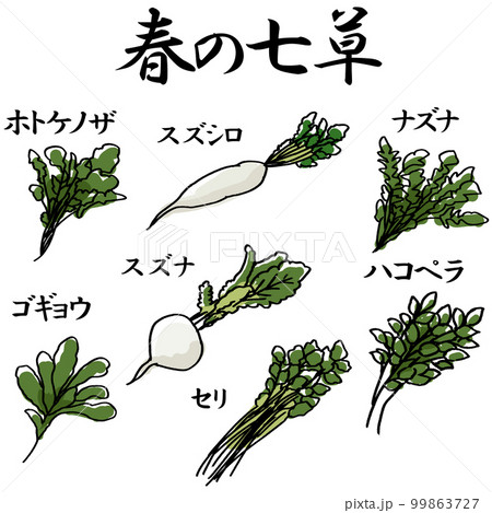 春の七草のイラスト素材 ベクター 春の七草のイラスト素材 ベクター 99863727