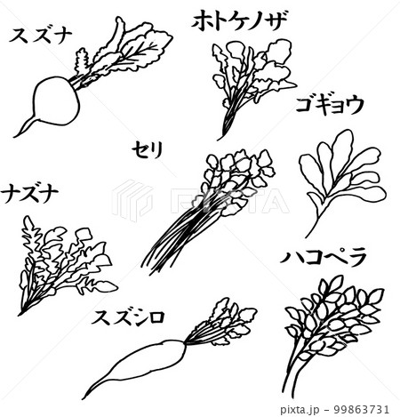 春の七草の線画のイラスト素材　ベクター 99863731