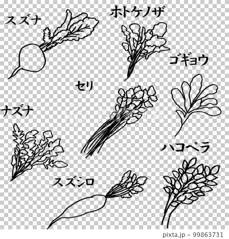 Illustration material vector of the seven herbs of spring 99863731
