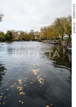 カナルボートが並ぶ運河と水面に浮いた紅葉の落ち葉　ロンドンのパディントン駅近くにて 99864183