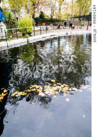 紅葉の落ち葉が浮かび木々の影が異様な模様に映る運河の水面　ロンドンのパディントン駅近くにて 99864184