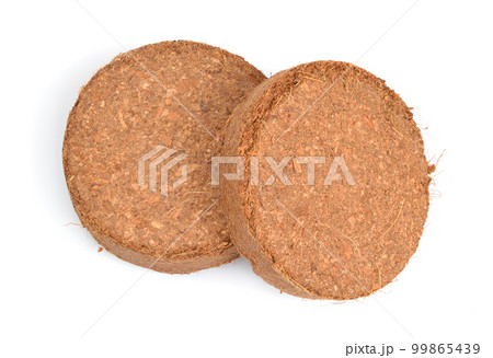 Coconut Coir substrate. Pressed briquette Isolated on White Background Coconut Coir substrate. Pressed briquette Isolated on White Background 99865439