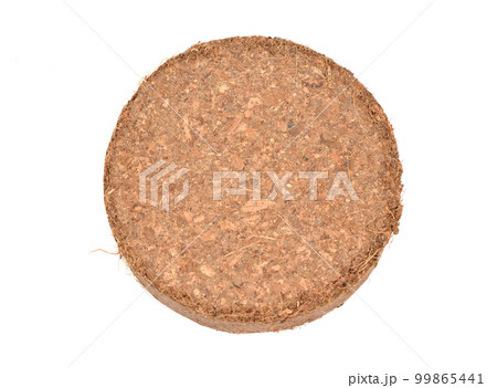 Coconut Coir substrate. Pressed briquette Isolated on White Background Coconut Coir substrate. Pressed briquette Isolated on White Background 99865441