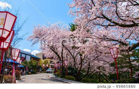 金沢市 金沢城 石川門と兼六園への紺屋坂の桜 金沢市 金沢城 石川門と兼六園への紺屋坂の桜 99865880