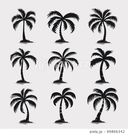 Vector Palm Trees, Palm Tree Icon Set Isolated. Palm Silhouettes. Design Template for Tropical, Vacation, Beach, Summer Concept. Vector Illustration. Front View Vector Palm Trees, Palm Tree Icon Set Isolated. Palm Silhouettes. Design Template for Tropical, Vacation, Beach, Summer Concept. Vector Illustration. Front View 99866342