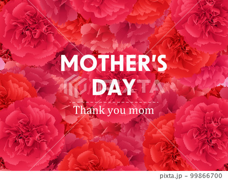 母の日　カーネーション　背景素材 99866700
