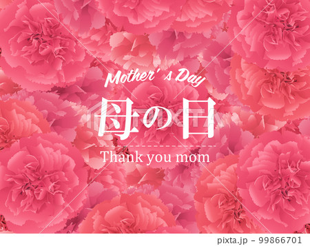 母の日 カーネーション 背景素材 母の日 カーネーション 背景素材 99866701