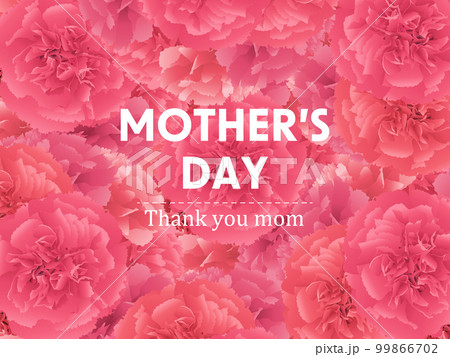 母の日 カーネーション 背景素材 母の日 カーネーション 背景素材 99866702