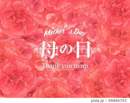 母の日 カーネーション 背景素材 母の日 カーネーション 背景素材 99866703