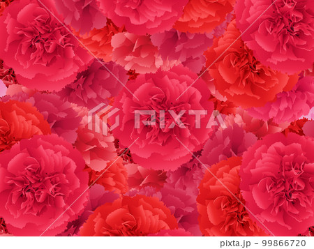 母の日 カーネーション 背景素材 母の日 カーネーション 背景素材 99866720