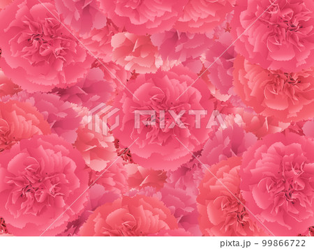 母の日　カーネーション　背景素材 99866722