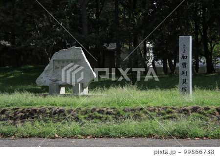 加曽利貝塚石碑　【千葉県千葉市若葉区加曽利貝塚縄文遺跡公園にて】 99866738