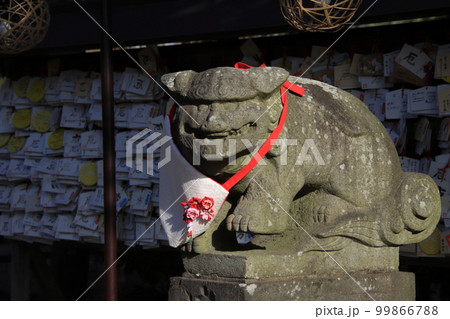前掛けした狛犬　【千葉県習志野市菊田神社にて】 99866788