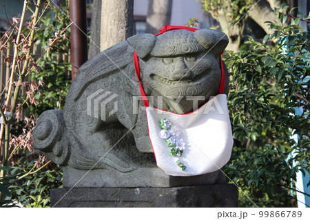 前掛けした狛犬　【千葉県習志野市菊田神社にて】 99866789