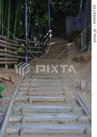 藤崎古道(御成街道) 【千葉県習志野市藤崎にて】 藤崎古道(御成街道) 【千葉県習志野市藤崎にて】 99866799