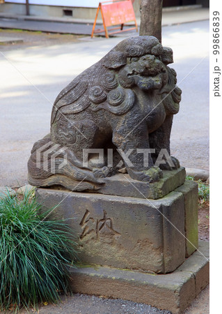下板橋氷川神社（板橋） 99866839