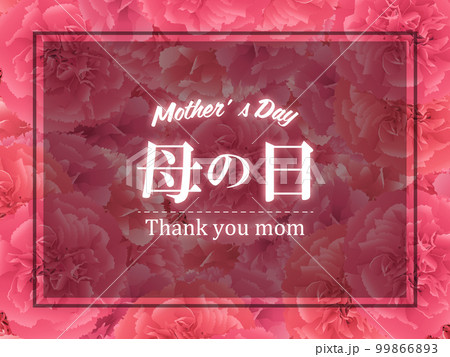 母の日　カーネーション　背景素材 99866893