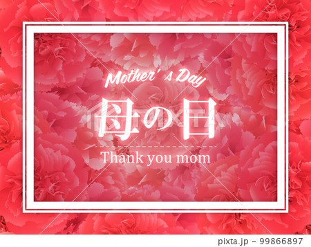 母の日　カーネーション　背景素材 99866897