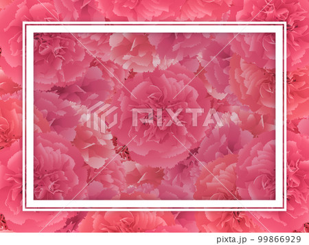 カーネーション　花束　背景素材 99866929