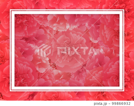 カーネーション 花束 背景素材 カーネーション 花束 背景素材 99866932