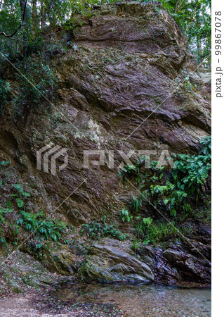 石化した地層 石化した地層 99867078
