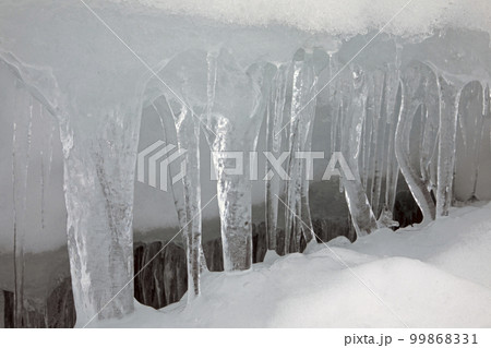 雪の谷間に発達したツララ　福島県只見町 99868331