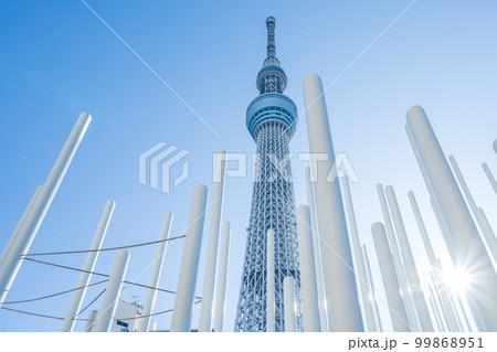 「東京都」小梅児童遊園から東京スカイツリーを見上げる 「東京都」小梅児童遊園から東京スカイツリーを見上げる 99868951