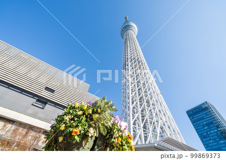 「東京都」東京スカイツリー 墨田区 「東京都」東京スカイツリー 墨田区 99869373