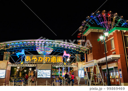 東京　荒川区　あらかわ遊園　（ライトアップ） 99869469