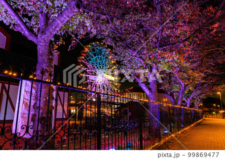 東京　荒川区　あらかわ遊園　（ライトアップ） 99869477