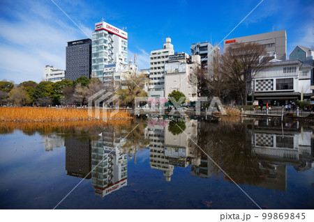 水面に映える景観　上野の不忍池　蓮池 99869845