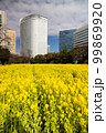 都会の菜の花畑 99869920