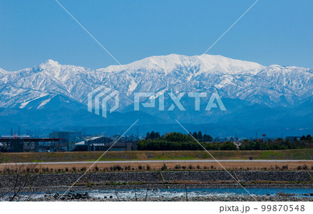 春　神通川左岸河川敷から見上げる立山連峰 99870548