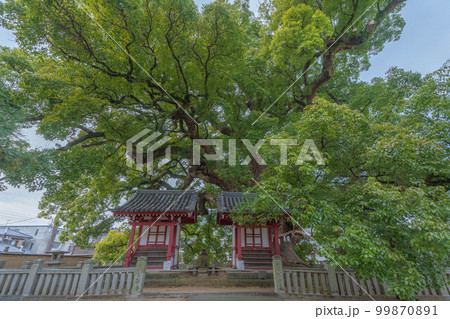 善通寺 99870891