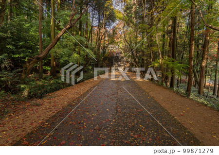 根香寺 99871279