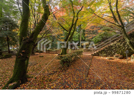 根香寺 99871280