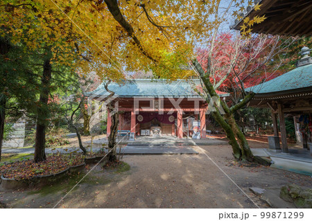 根香寺 99871299