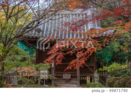 白峯寺 99871790