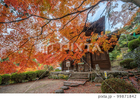 白峯寺 白峯寺 99871842
