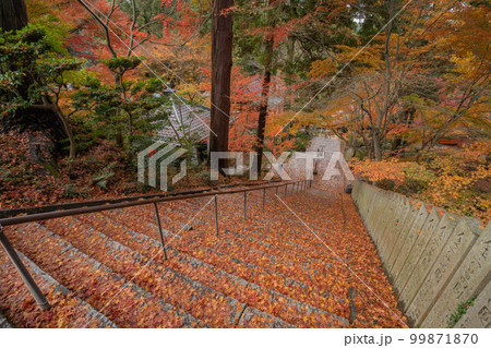 白峯寺 白峯寺 99871870