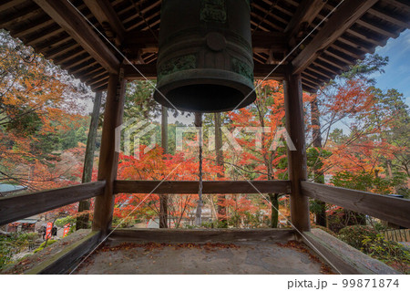 白峯寺 白峯寺 99871874