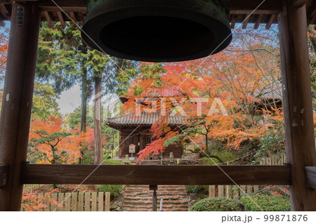 白峯寺 白峯寺 99871876