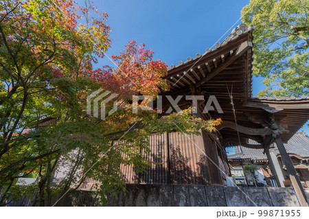 一宮寺 99871955