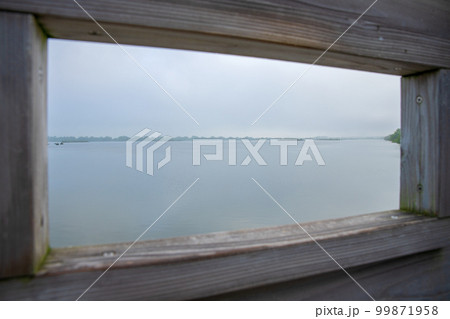 谷中湖　渡良瀬遊水地　野鳥観察台窓からの眺め　早朝の風景　　 99871958