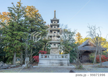 屋島寺 屋島寺 99871996
