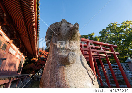 屋島寺 屋島寺 99872010