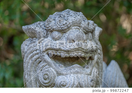 屋島神社 屋島神社 99872247