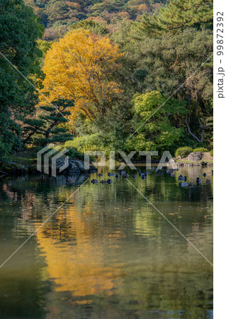 栗林公園 99872392