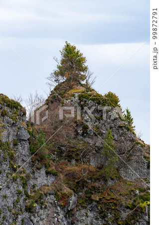 寒霞渓 寒霞渓 99872791