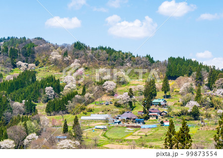 春の長閑な山村風景（長野県小川村） 99873554